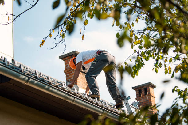 Quick and Trustworthy Emergency Roof Repair Services in Seward, AK