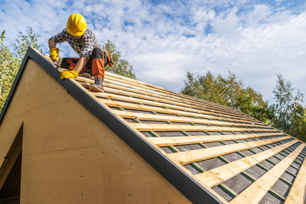 Best Local Roofing Companies  in Seward, AK