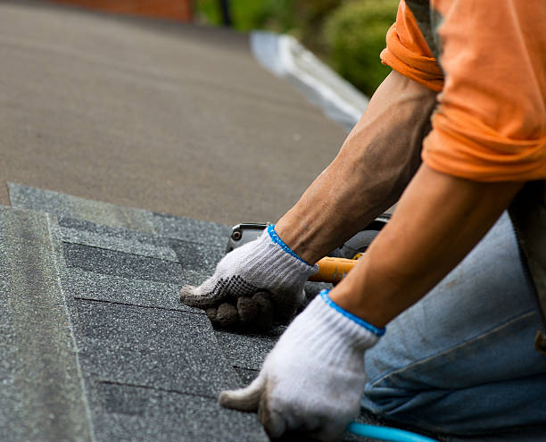 Best Roof Leak Repair  in Seward, AK