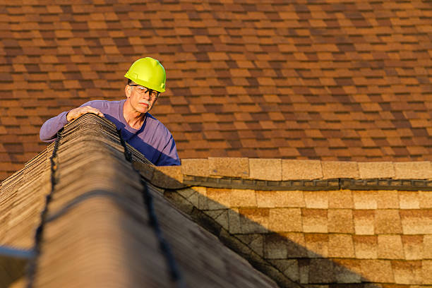 Best Roof Gutter Cleaning  in Seward, AK